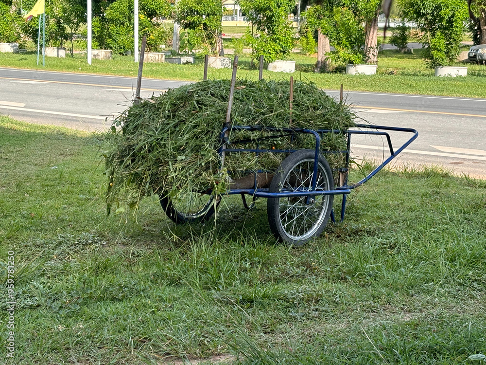 Fototapeta premium old cart with grass