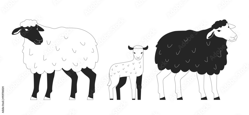 Sheep family with cute little lamb black and white 2D line characters. Farm animals breeding industry. Small livestock flock isolated vector outline animals. Monochromatic spot illustration Sheep family with cute little lamb black and white 2D line characters. Farm animals breeding industry. Small livestock flock isolated vector outline animals. Monochromatic spot illustration