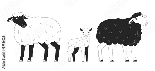 Sheep family with cute little lamb black and white 2D line characters. Farm animals breeding industry. Small livestock flock isolated vector outline animals. Monochromatic spot illustration