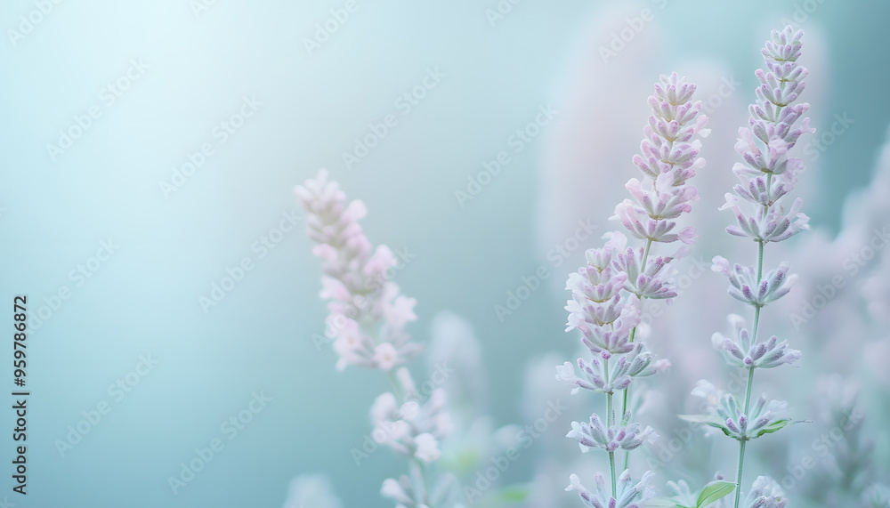 Obraz premium A single pastel color, such as mint green or lavender, providing a soothing and simple backdrop