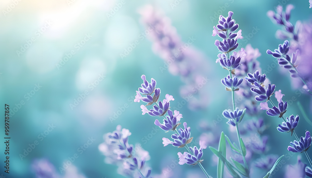 A single pastel color, such as mint green or lavender, providing a soothing and simple backdrop A single pastel color, such as mint green or lavender, providing a soothing and simple backdrop