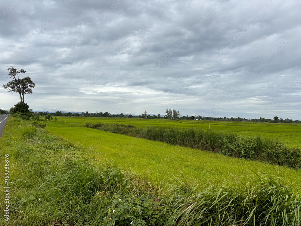 Obraz premium field and sky with clouds