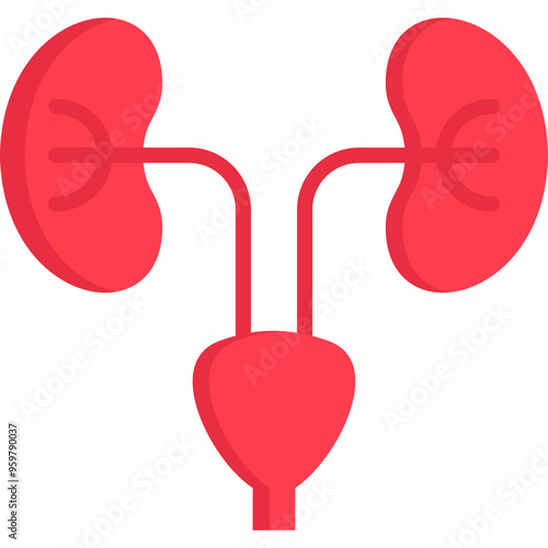 Nephrology Icon