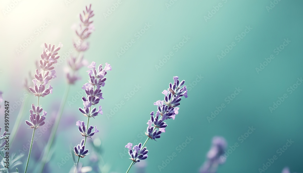 Obraz premium A single pastel color, such as mint green or lavender, providing a soothing and simple backdrop