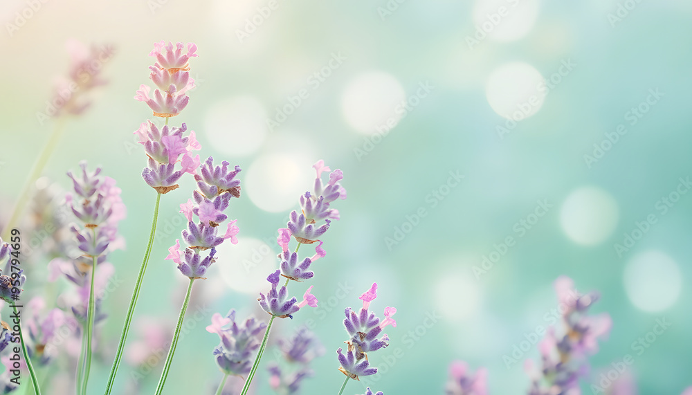 Obraz premium A single pastel color, such as mint green or lavender, providing a soothing and simple backdrop