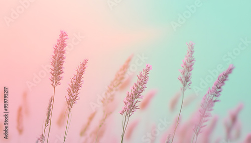 A single pastel color, such as mint green or lavender, providing a soothing and simple backdrop