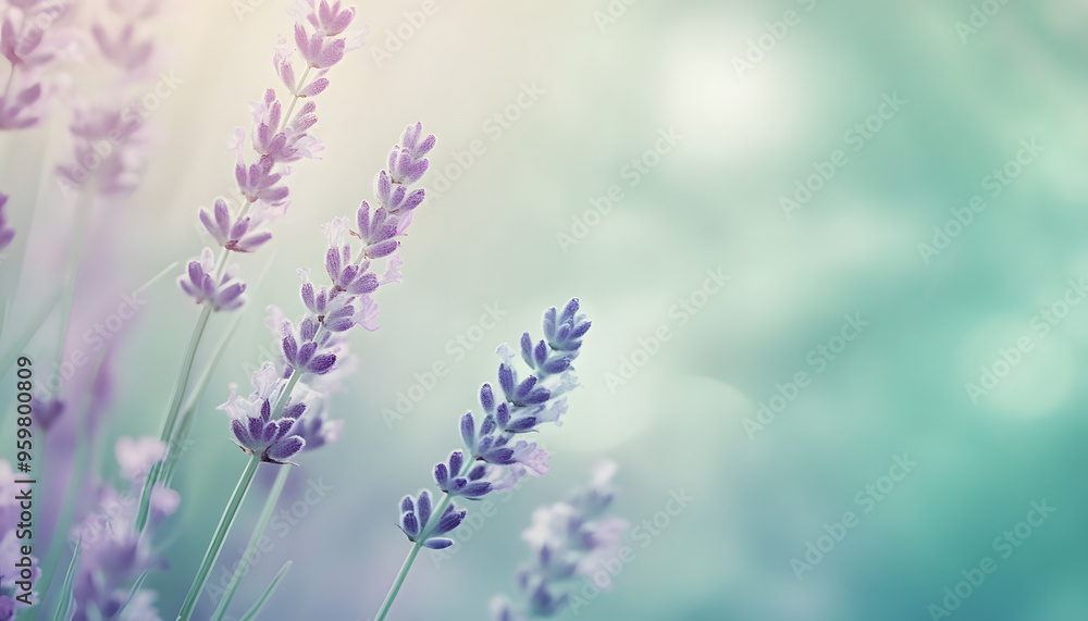 Obraz premium A single pastel color, such as mint green or lavender, providing a soothing and simple backdrop