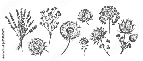 Vector herbarium trendy retro photocopy effect. Modern stipple dots texture for design art. y2k collage wildflowers set.