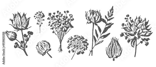 collage, photocopy, stipple, herbarium, flower, wildflowers, halftone, grunge, poster, contemporary, contrast, vector, retro, texture, sticker, effect, vintage, dot, monochrome, background, grain, ele