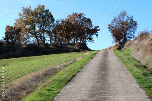 Countryside road leading through autumn trees, Allin Valley, Navarra, Spain photo