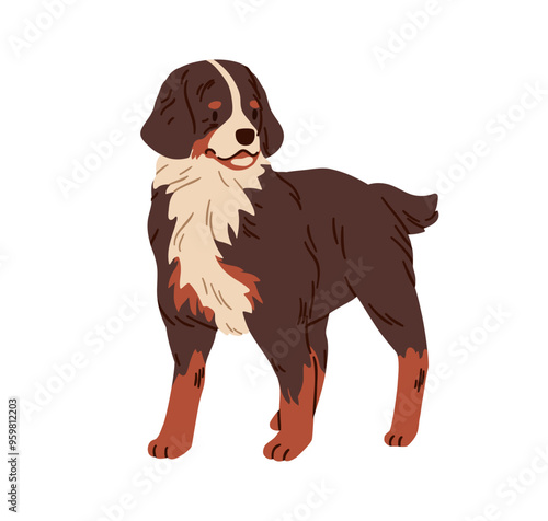 Bernese Mountain Dog, Swiss canine breed. Guard and cattle doggy. Shepherd animal, Berner Sennenhund, farm working puppy standing. Flat graphic vector illustration isolated on white background