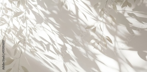 Delicate Shadows of Branches.