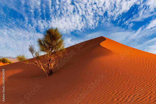 Merzouga, Morocco. Sand dunes in the Sahara Desert, North Africa - Erg Chebbi dunes.