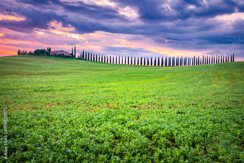 Obraz na płótnie Tuscany, Italy. Morning colored sky, typical Tuscan landscape in countryside, cypress trees. w salonie