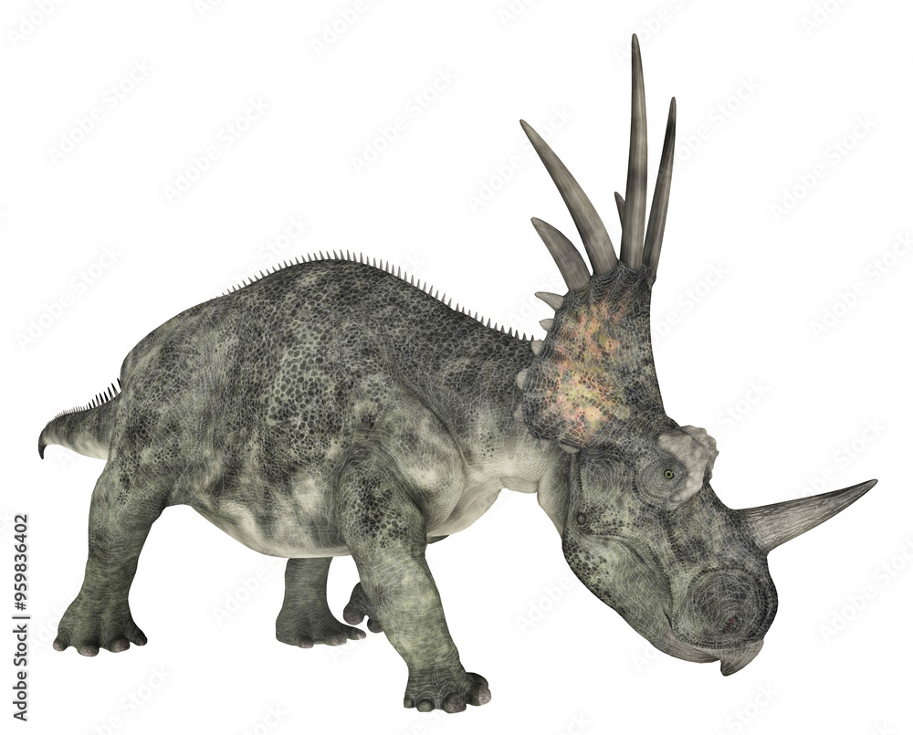Fototapeta premium Dinosaurier Styracosaurus, Freisteller