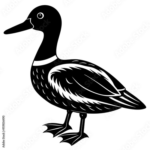 pintail silhouette vector animal illustration