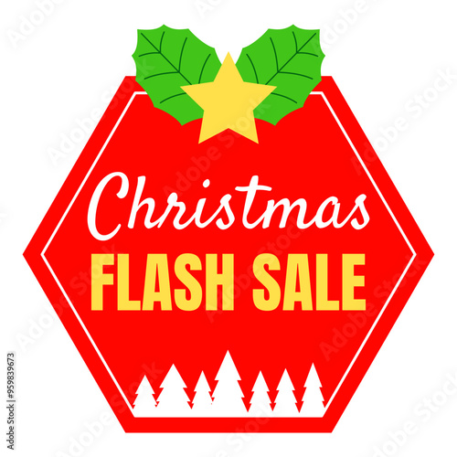 Christmas Flash Sale 