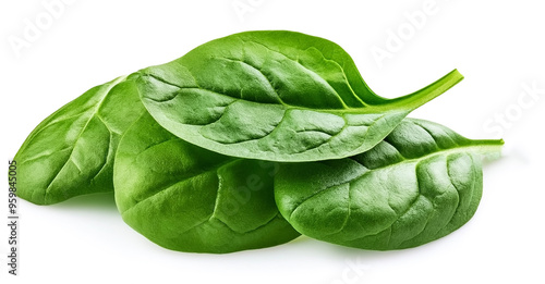 fresh green baby spinach leaves, isolated on white background