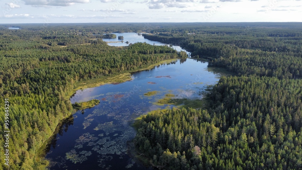 Fototapeta premium landscape with lake