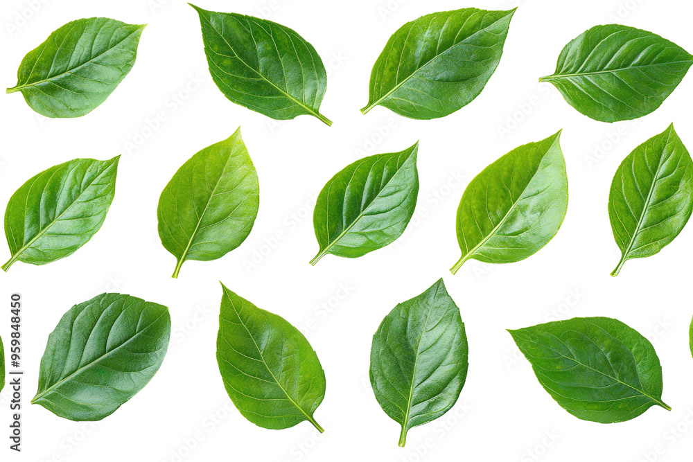 A vibrant collection of fresh green leaves arranged on a white background, perfect for nature and botanical themes. A vibrant collection of fresh green leaves arranged on a white background, perfect for nature and botanical themes.