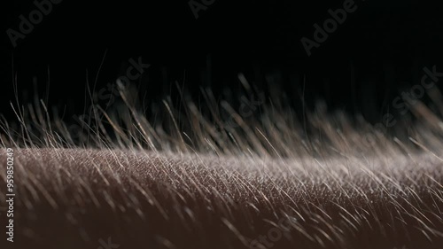Macro shot of Hair Standing on End Against a Dark Background