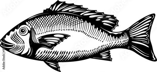 Snapper