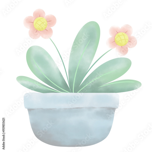 Pink flowers in a pot 