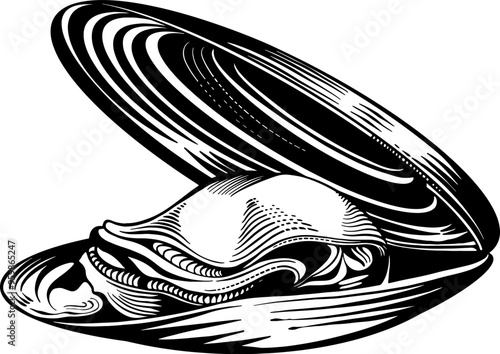 Mussel