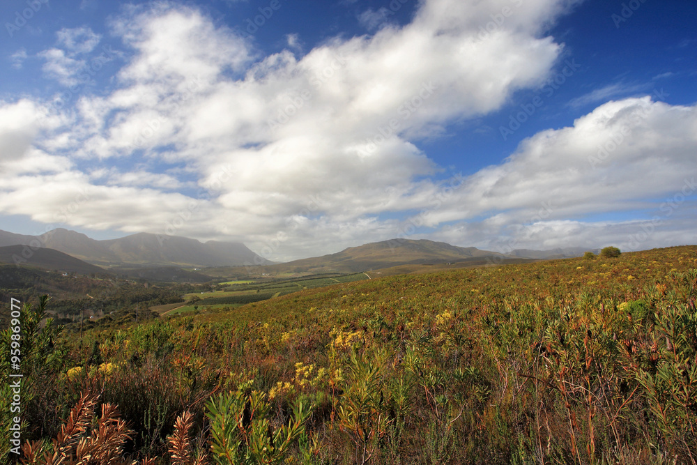 View of beautiful landscape with mountains and clouds under a sunny sky, Cape Town, South Africa. View of beautiful landscape with mountains and clouds under a sunny sky, Cape Town, South Africa.