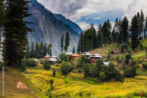 View of serene and picturesque mountain landscape with lush forest and rustic village, Kashmir, Pakistan.