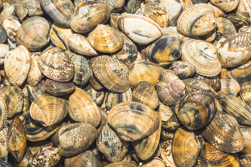 Raw Manila clams are stacked at a fish market of Somuido Island for sale near Yeongjongdo Island, South Korea  photo