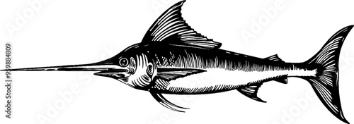 Swordfish