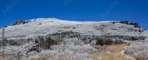 Panoramic view of hoarfrost on the needle leaf trees and columnar joint of Seoseokdae Rock at Mudeungsan National Park near Gwangju, South Korea  photo