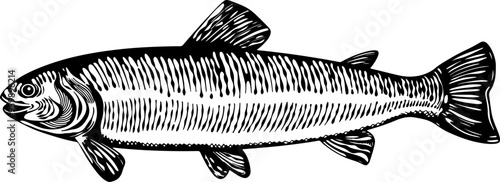 Trout