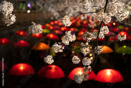 Night view of white cherry blossoms against umbrellas with illumination on Yeojwacheon Stream during Jinhae Gunhang Festival at Jinhae-gu, South Korea  photo