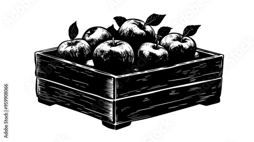 Crate filled with freshly harvested apples from a nearby orchard