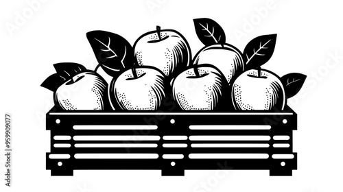 Crate filled with freshly harvested apples from a nearby orchard