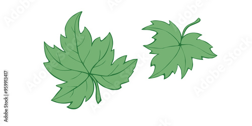 Vector green maple or grapes leaves in flat doodle style, isolated on white background. Hand drawn clipart, symbol of nature, forest, garden