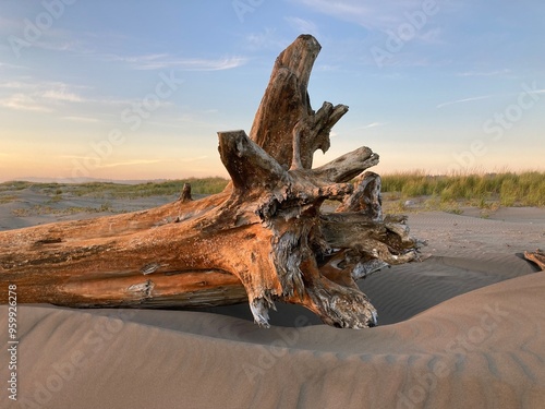 Copalis Beach, Washington 