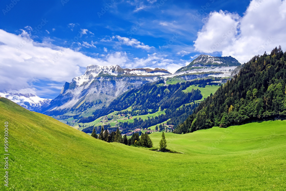 Fototapeta premium Alps Landscape Background