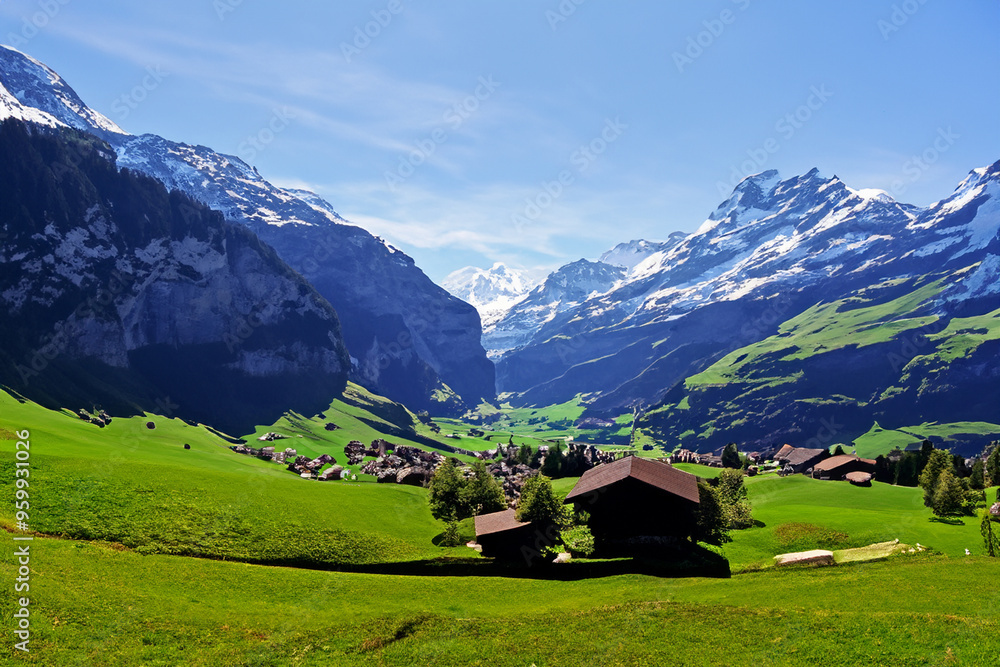 Fototapeta premium Alps Landscape Background