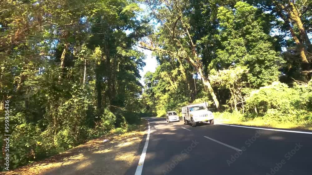 Solo Traveler's POV Biking on Scenic Road to Darjeeling Solo Traveler's POV Biking on Scenic Road to Darjeeling