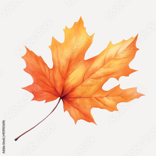 Vibrant autumn maple leaf illustration