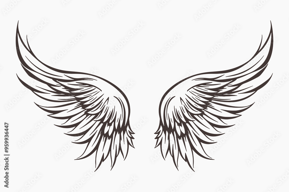 Fototapeta premium Elegant black angel wings illustration