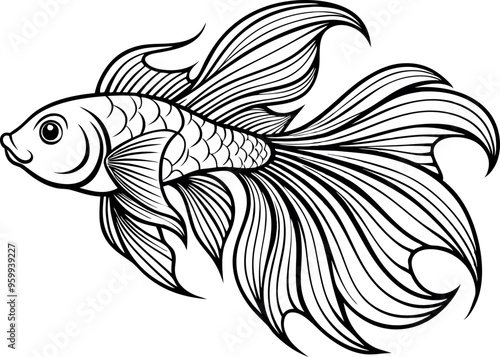 Elegant Betta Fish Line Art Illustration with Flowing Fins 