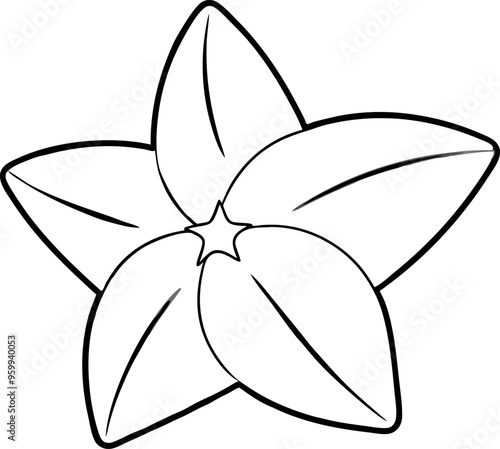 Black And White Outline Of A Starfruit Slice With Five Distinctive Sectional Shapes And Clean Lines