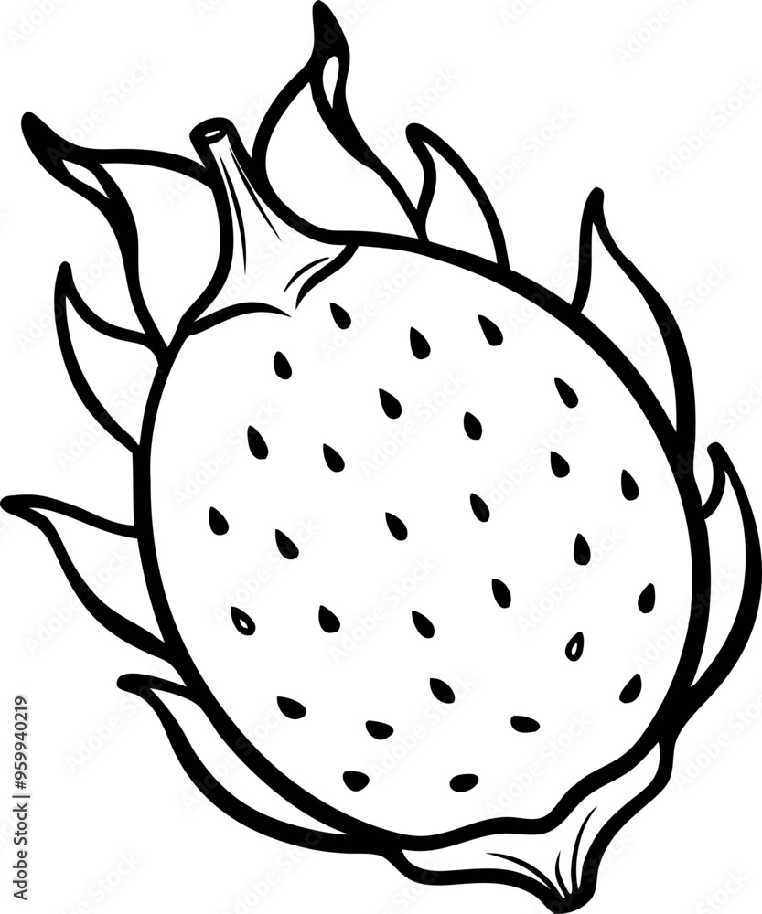 Hand-Drawn Black and White Illustration of a Dragon Fruit on a White Background Hand-Drawn Black and White Illustration of a Dragon Fruit on a White Background