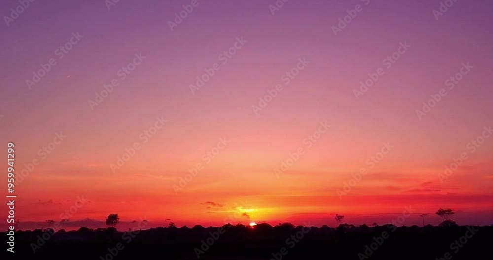 Breathtaking sunset over serene landscape in the Amazon rainforest during early evening hours Breathtaking sunset over serene landscape in the Amazon rainforest during early evening hours