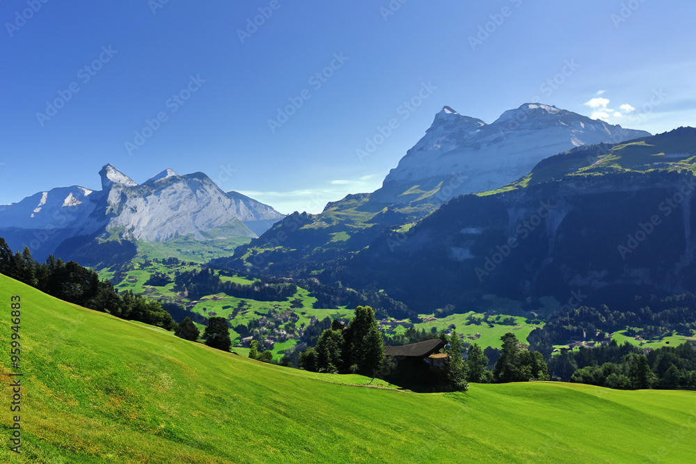 Fototapeta premium Alps Landscape Background