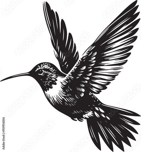 hummingbird vector design clipart flat style artwork photo